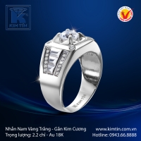Nhẫn Kim Cương Vàng Trắng 18K
