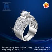 Nhẫn Kim Cương Vàng Trắng 14K