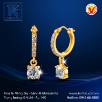 Hoa Tai Vàng Màu 14K