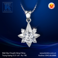 Mặt Dây Chuyền Vàng Trắng 14K