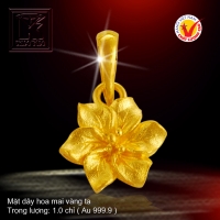Mặt dây vàng 24K